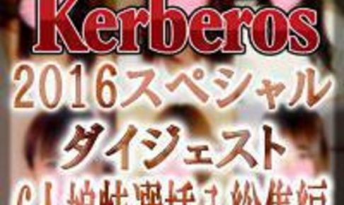 【素人動画】2016-Kerberos-ダイジェスト！6人娘特選挿入総集編【ハメ撮り】