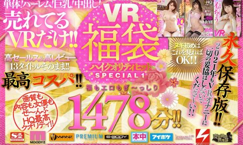 【VR福袋！】ハイクオリティヒットSPECIAL1 人気10メーカー13タイトルノー編集でドドーンと大放出1478分！！